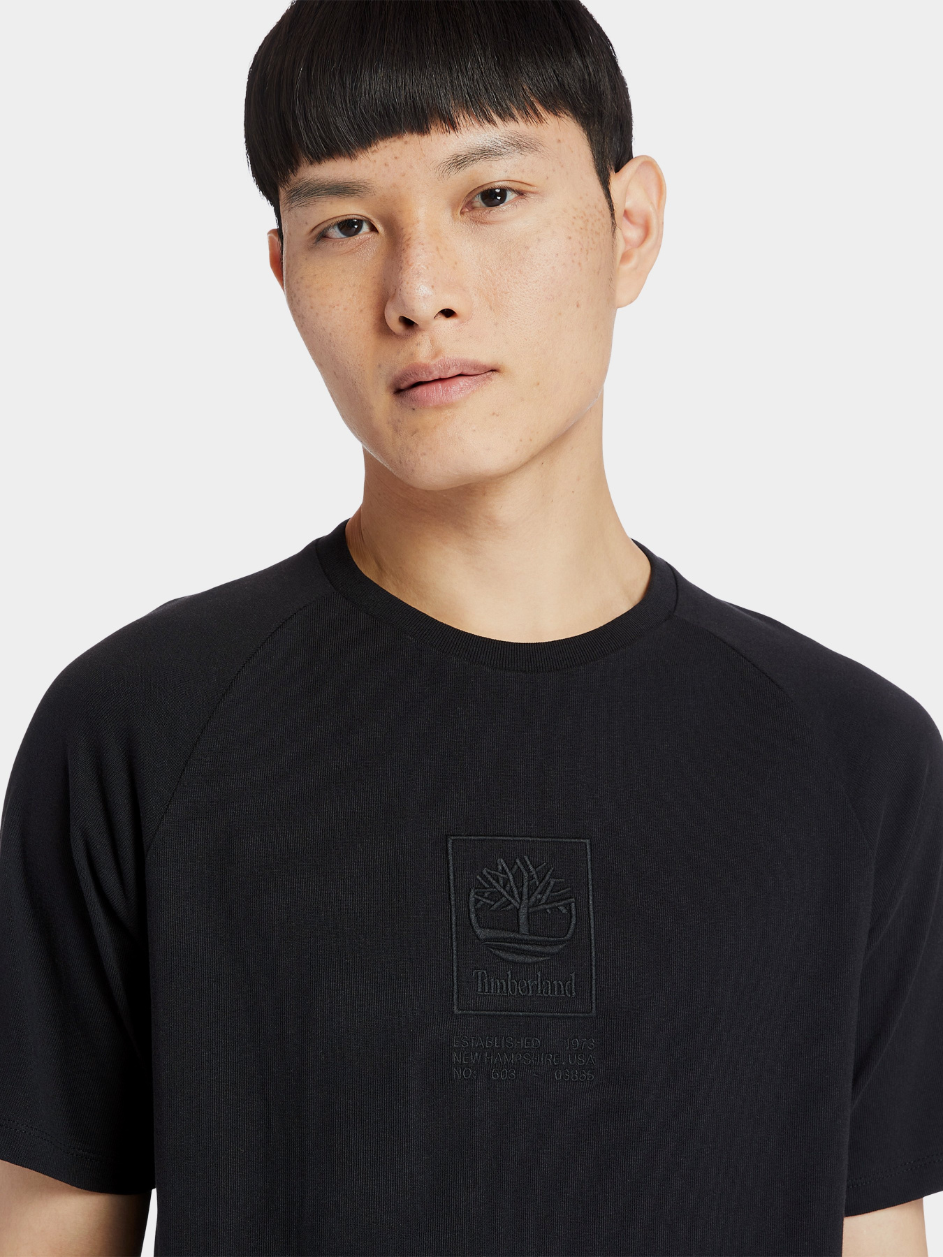 Футболка Timberland Heavyweight Logo модель TB0A2DVY001 Фото