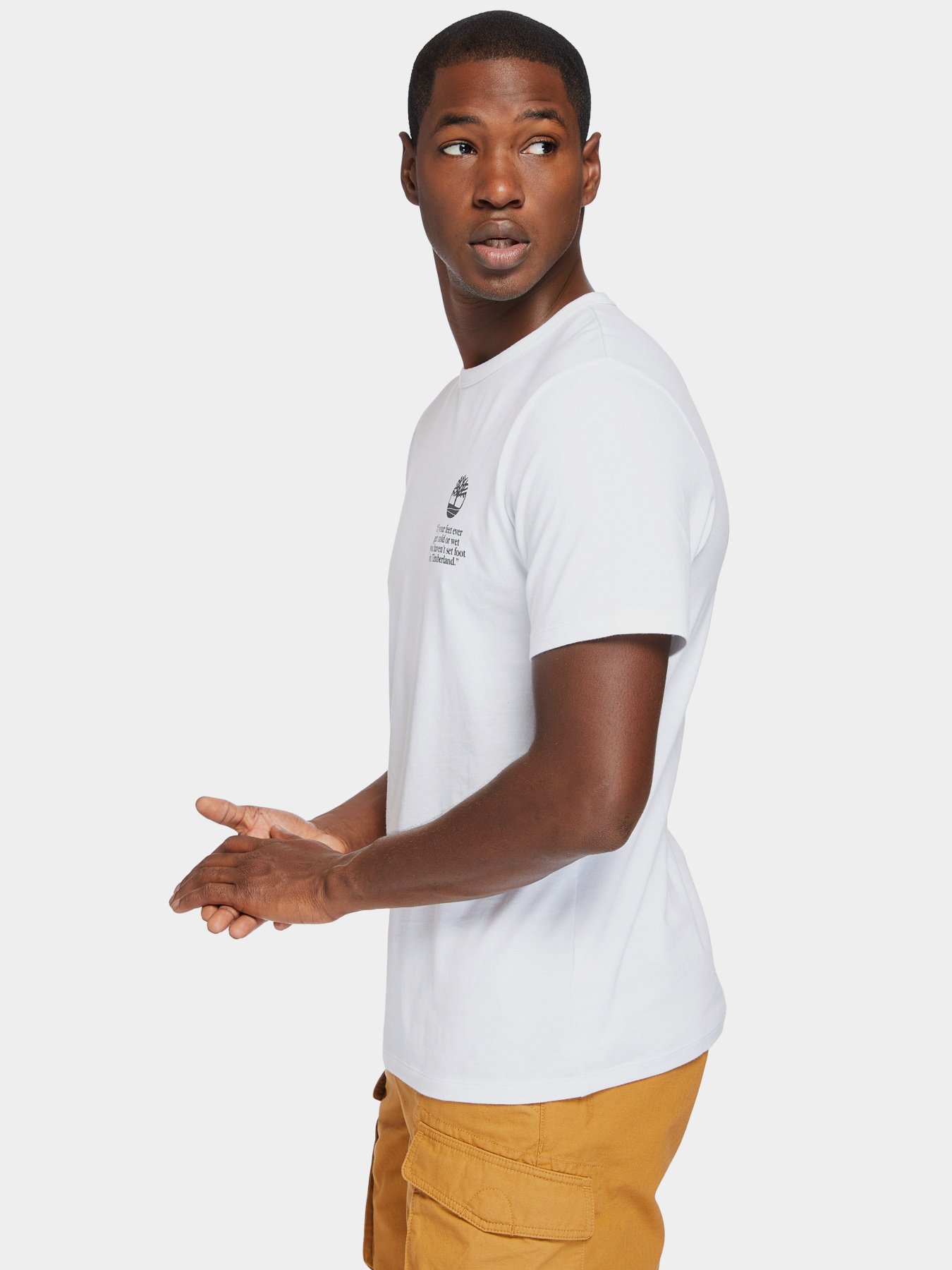 Футболки і поло Timberland Archive-Print Tee модель TB0A2E6E100 Фото