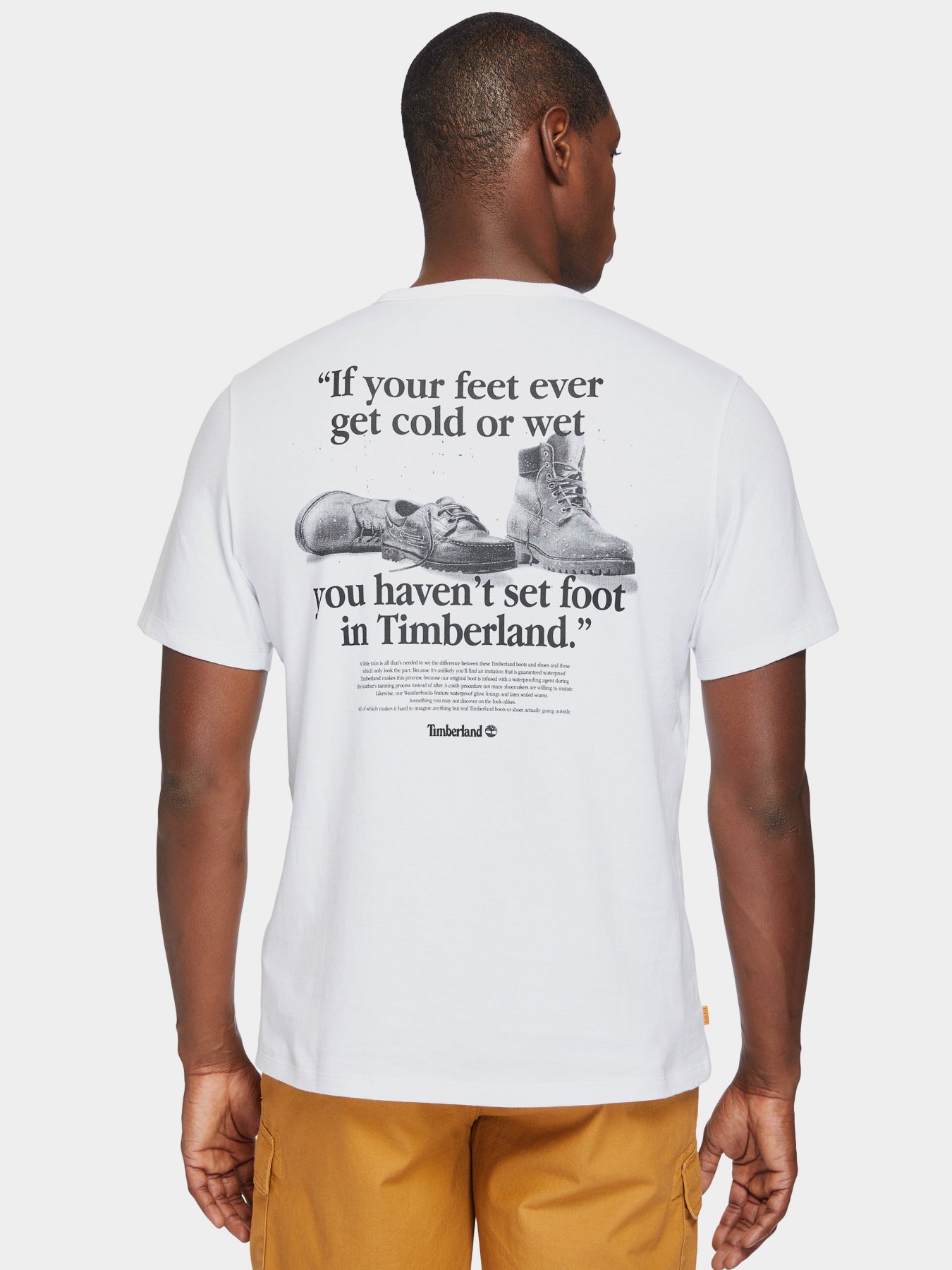 Футболки и поло Timberland Archive-Print Tee модель TB0A2E6E100 Фото