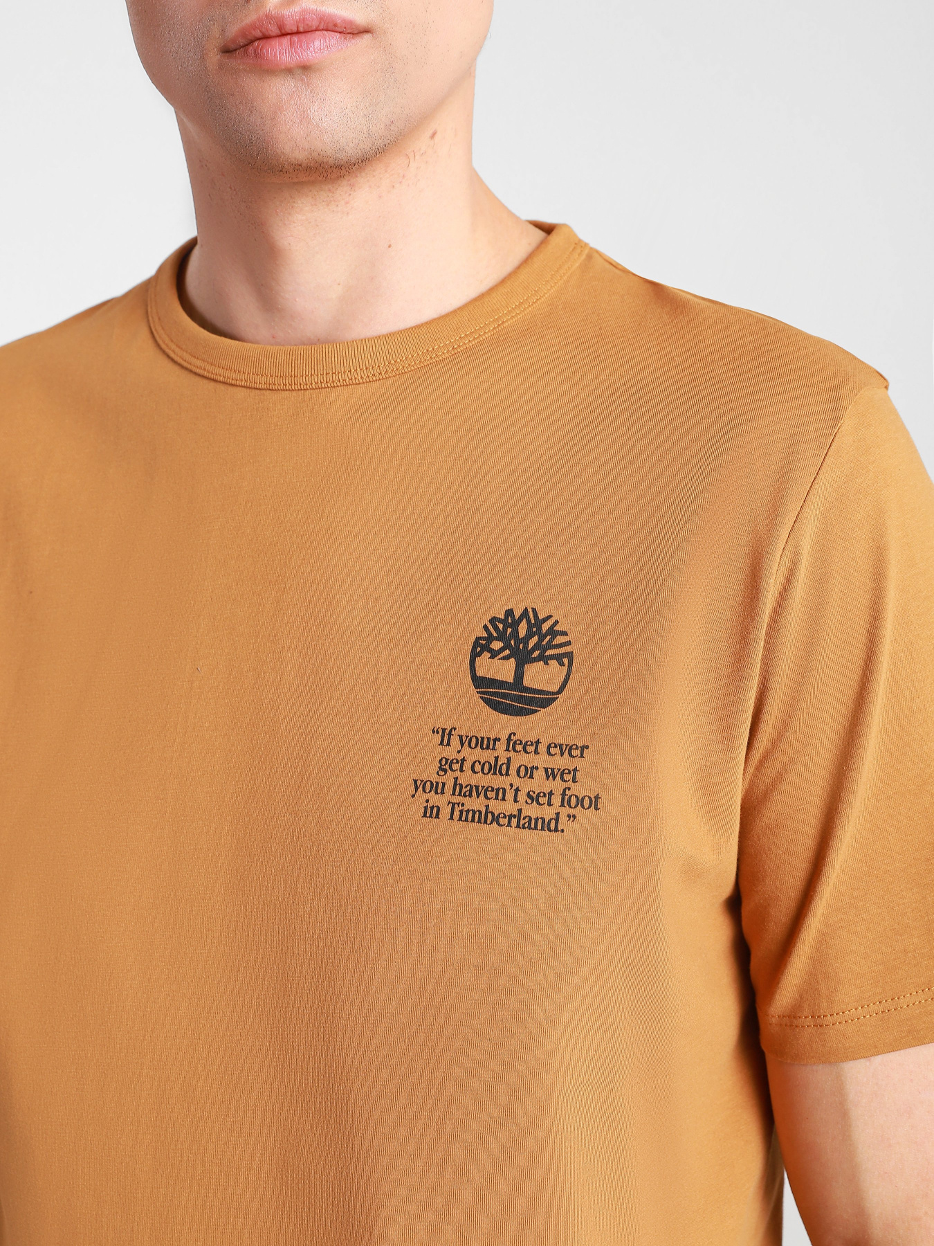 Футболки и поло Timberland модель TB0A2E6EP47 Фото