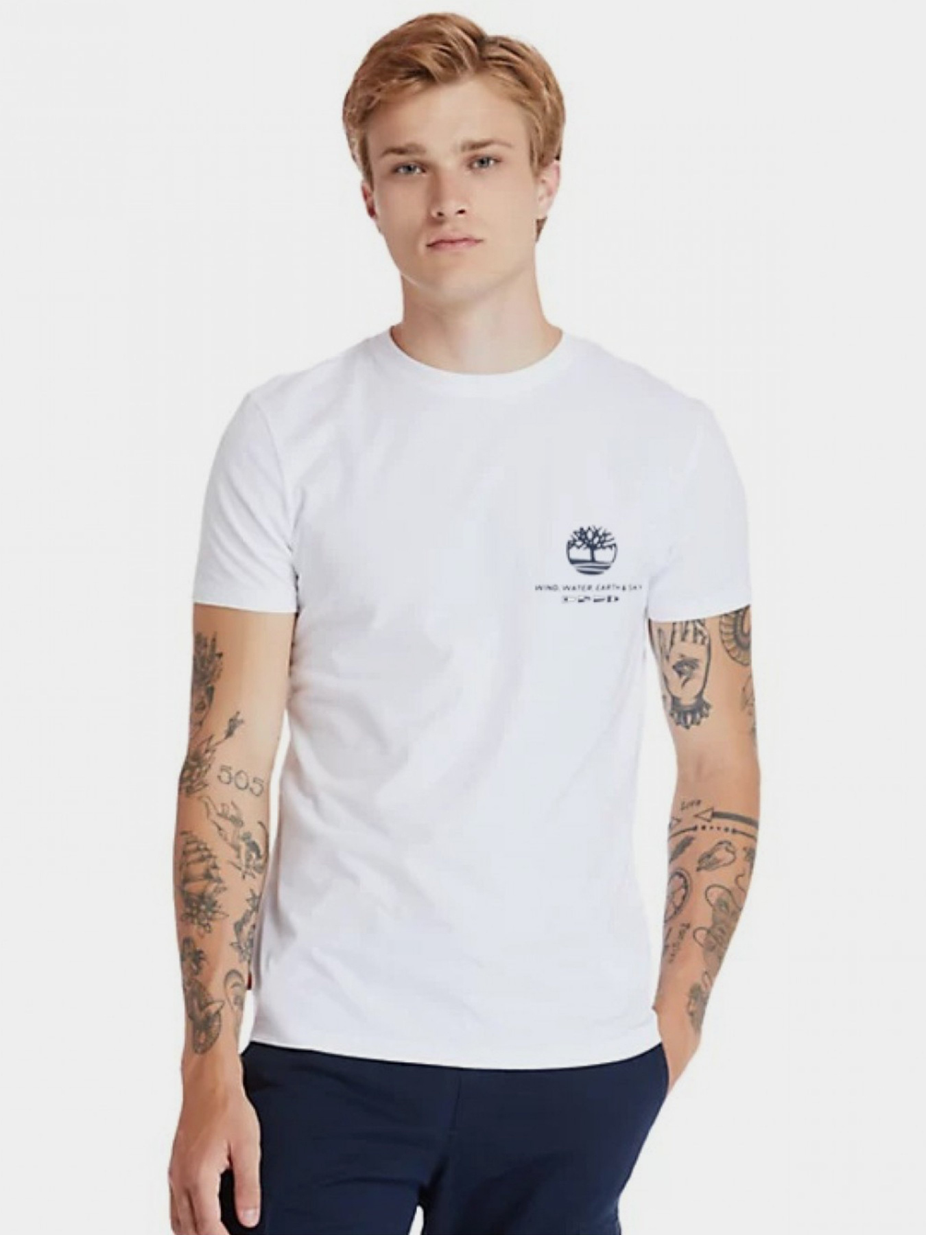 Футболки и поло Timberland Coastal Cool Graphic модель TB0A2FBM100 Фото