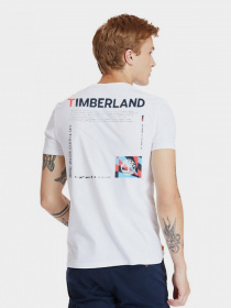 Футболки и поло Timberland Coastal Cool Graphic модель TB0A2FBM100 Фото