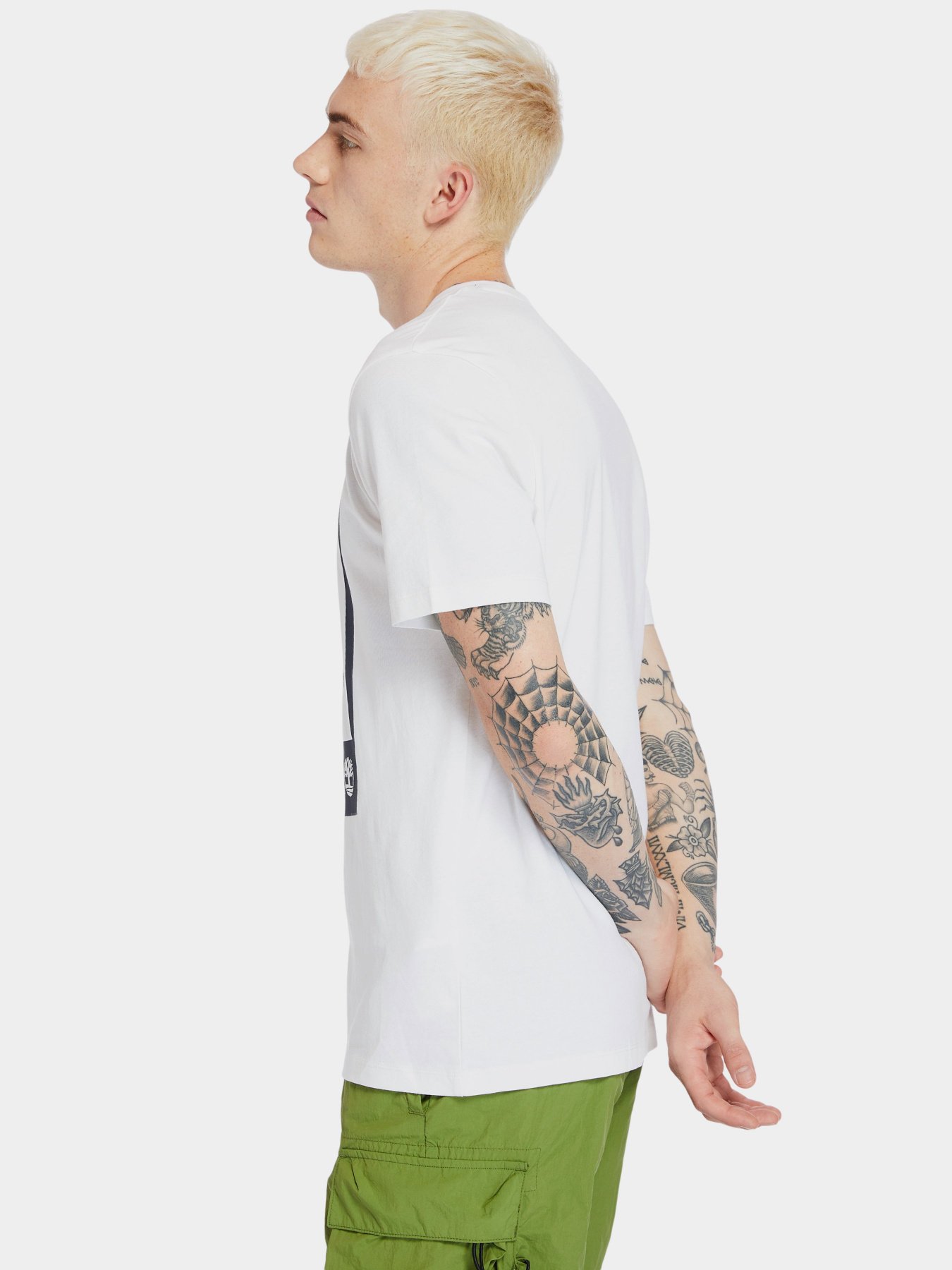 Футболка Timberland Mountain-To-River модель TB0A2FNH100 Фото