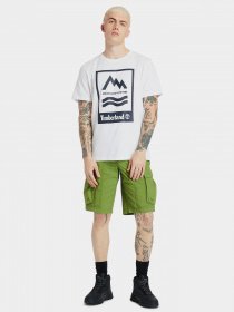 Футболка Timberland Mountain-To-River модель TB0A2FNH100 Фото