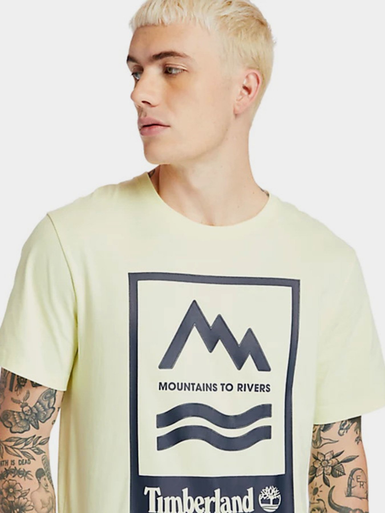Футболки и поло Timberland Mountain-To-River модель TB0A2FNH322 Фото