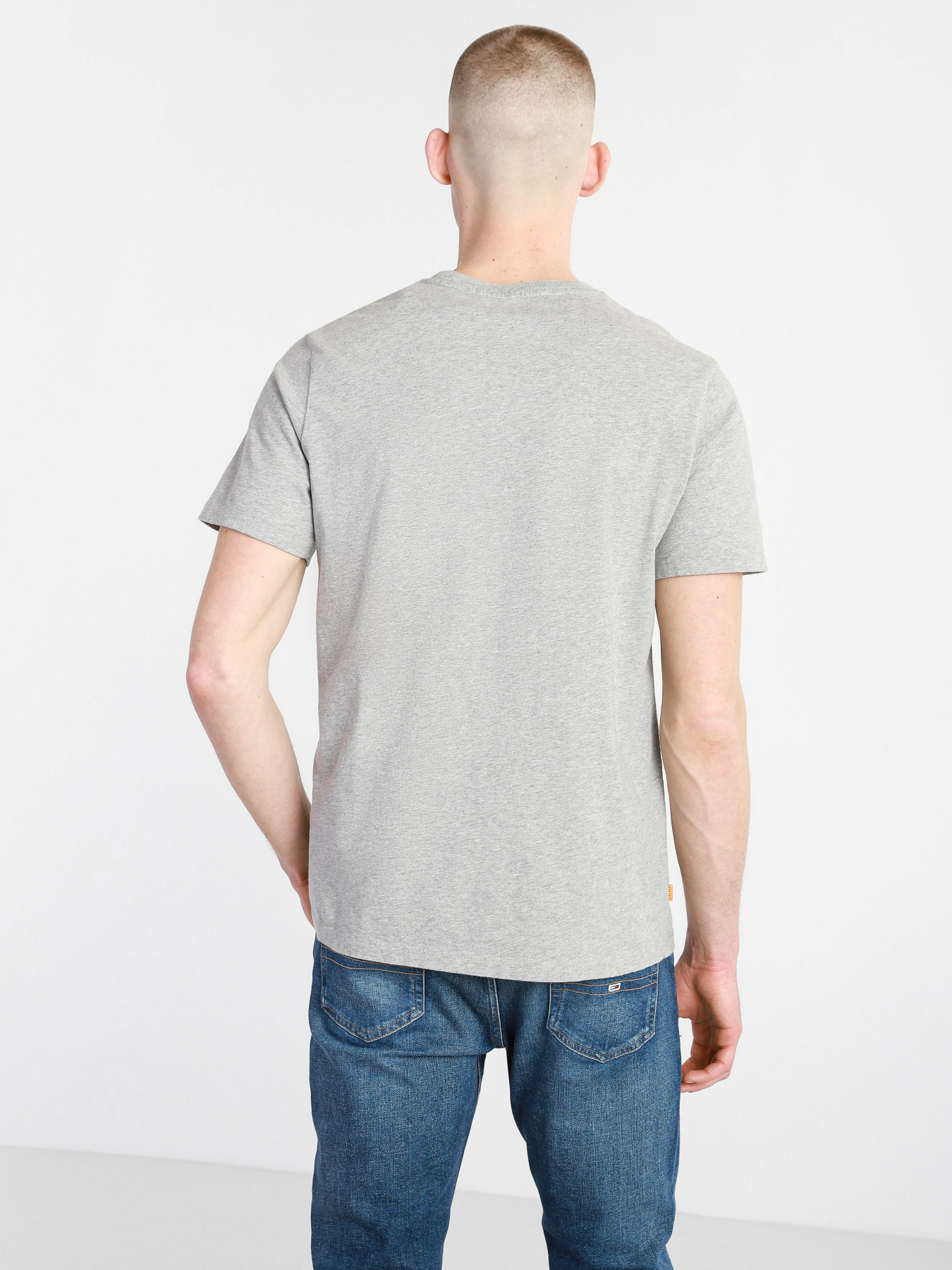 Футболки и поло Timberland Mountain-To-River модель TB0A2FNH052 Фото