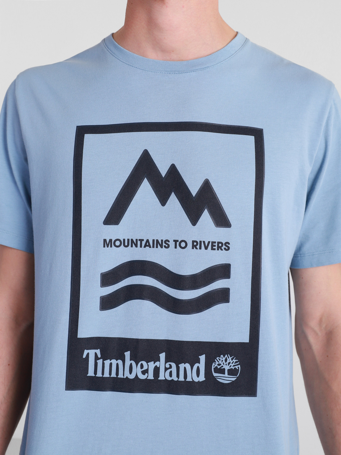 Футболка Timberland Mountain-To-River модель TB0A2FNHG29 Фото