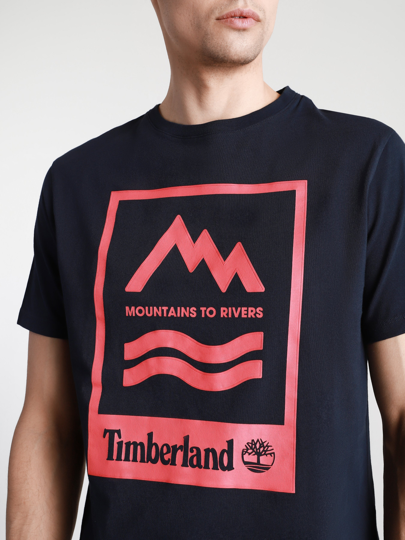 Футболки и поло Timberland Mountain-To-River модель TB0A2FNH433 Фото