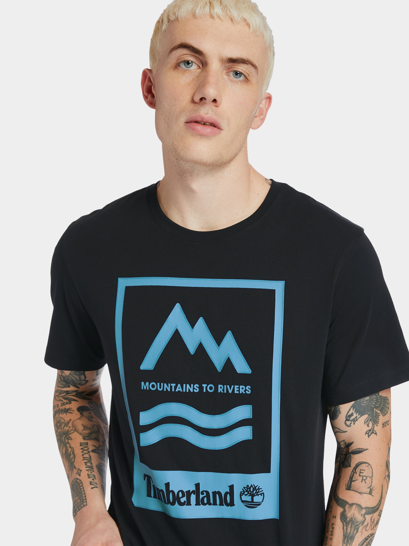 Футболки і поло Timberland Mountain-To-River модель TB0A2FNH001 Фото
