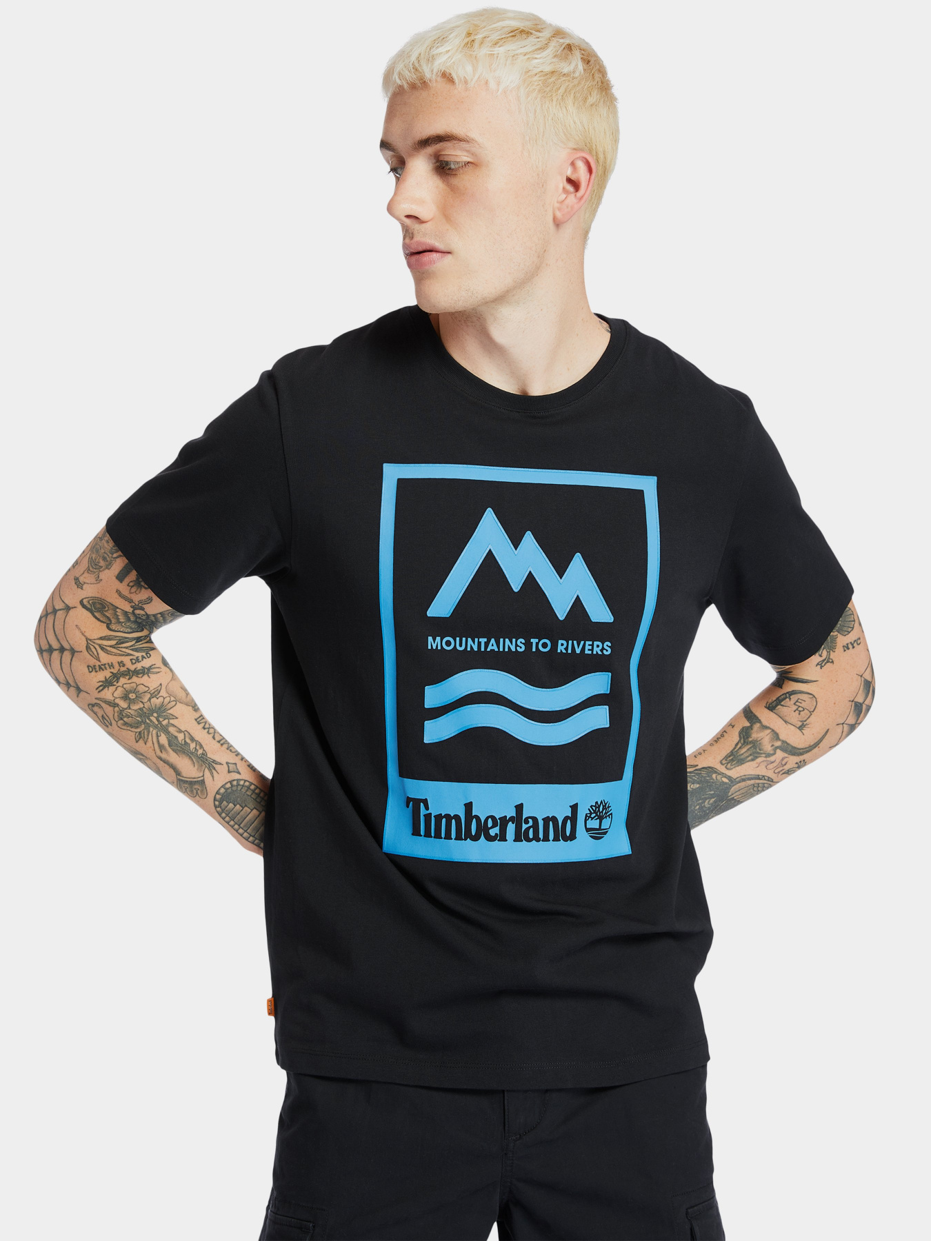 Футболки і поло Timberland Mountain-To-River модель TB0A2FNH001 Фото
