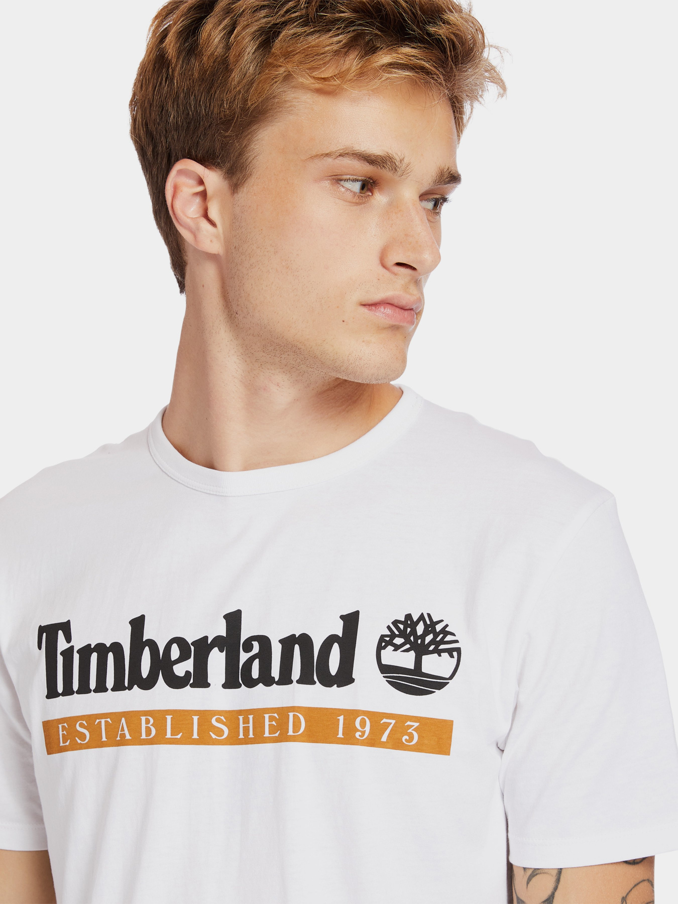 Футболки и поло Timberland Established 1973 модель TB0A2BV6Z48 Фото