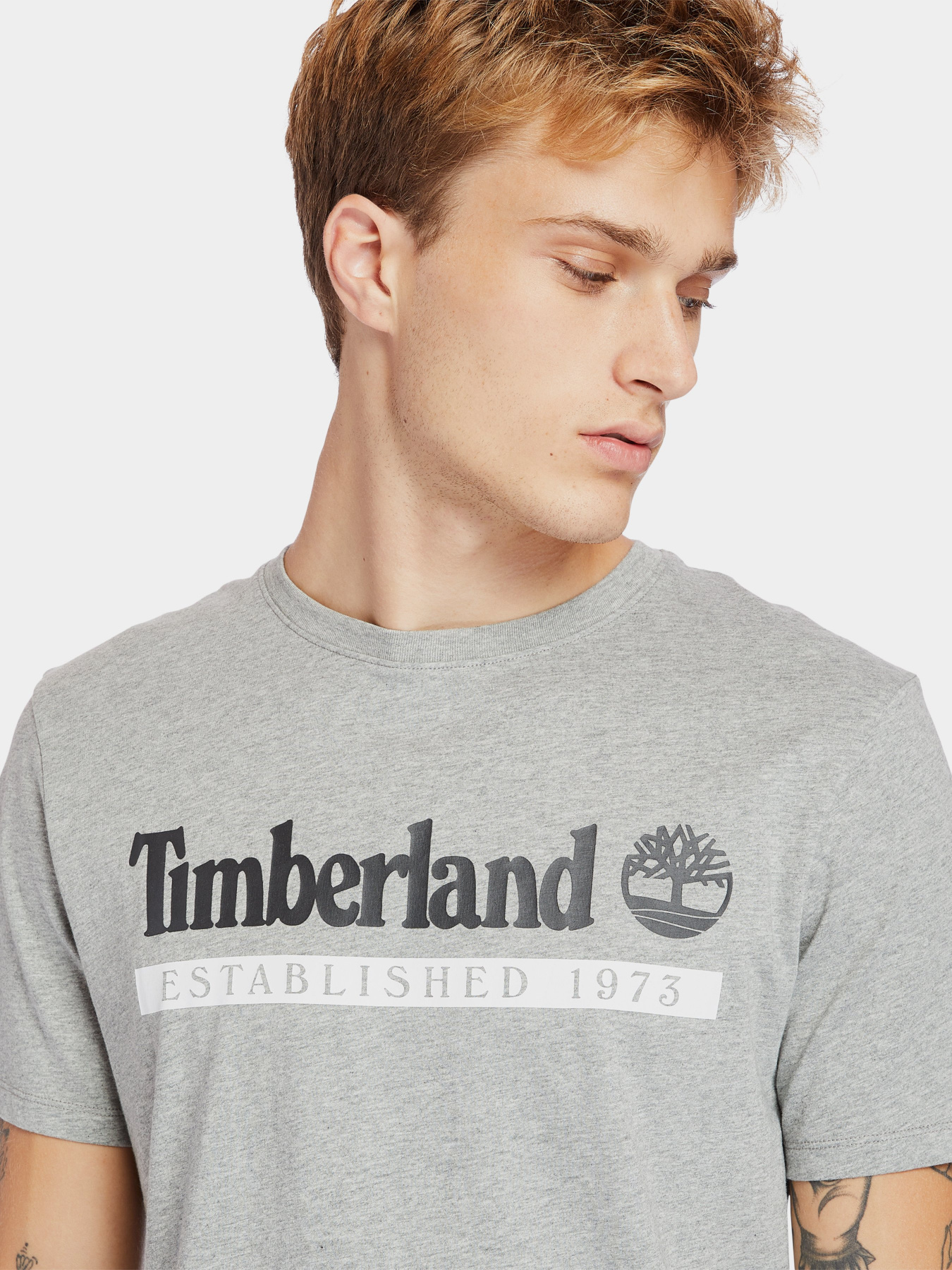 Футболки и поло Timberland Established 1973 модель TB0A2BV6V91 Фото