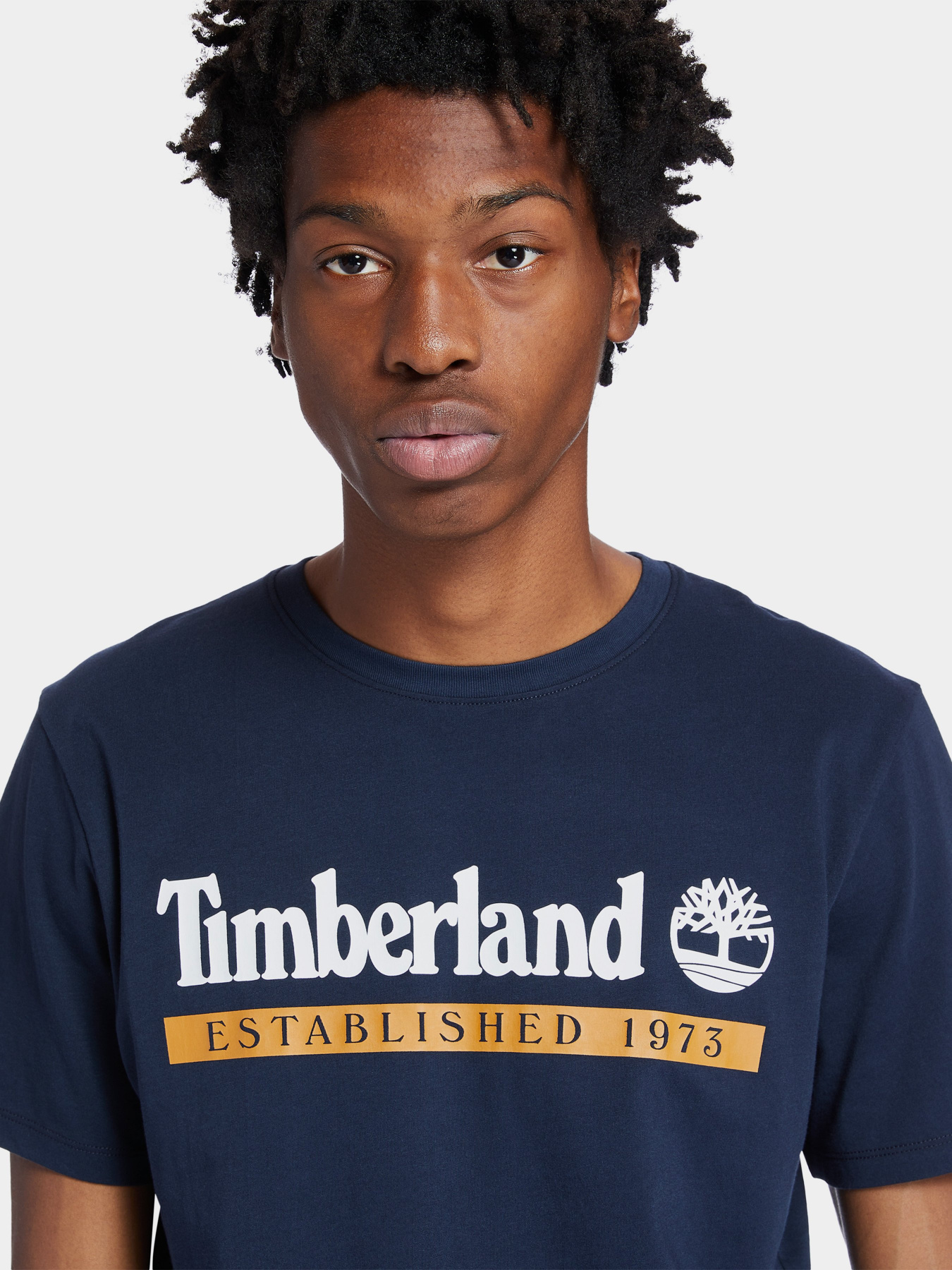 Футболки і поло Timberland Established 1973 модель TB0A2BV6T27 Фото