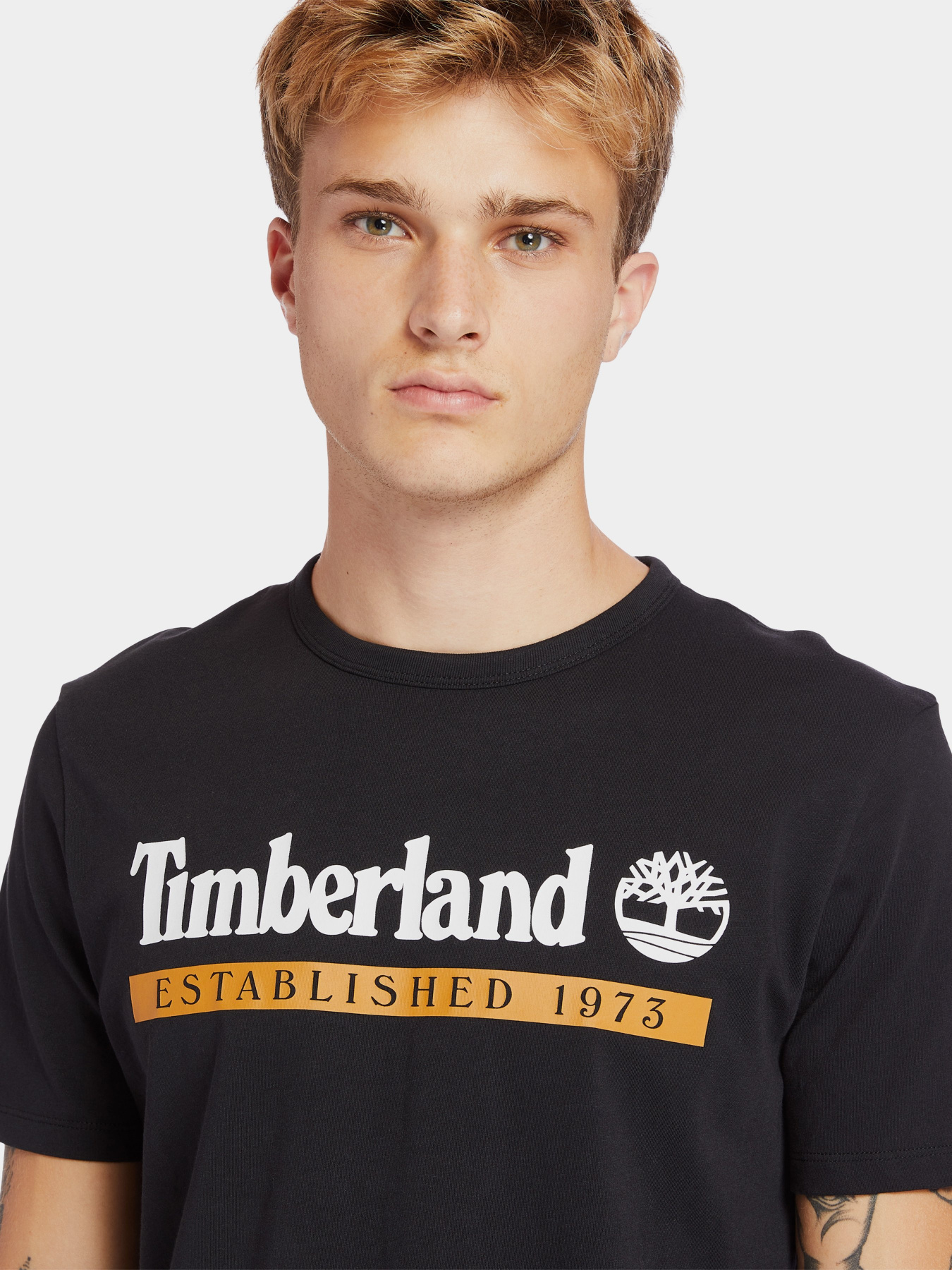 Футболки і поло Timberland Established 1973 модель TB0A2BV6P56 Фото