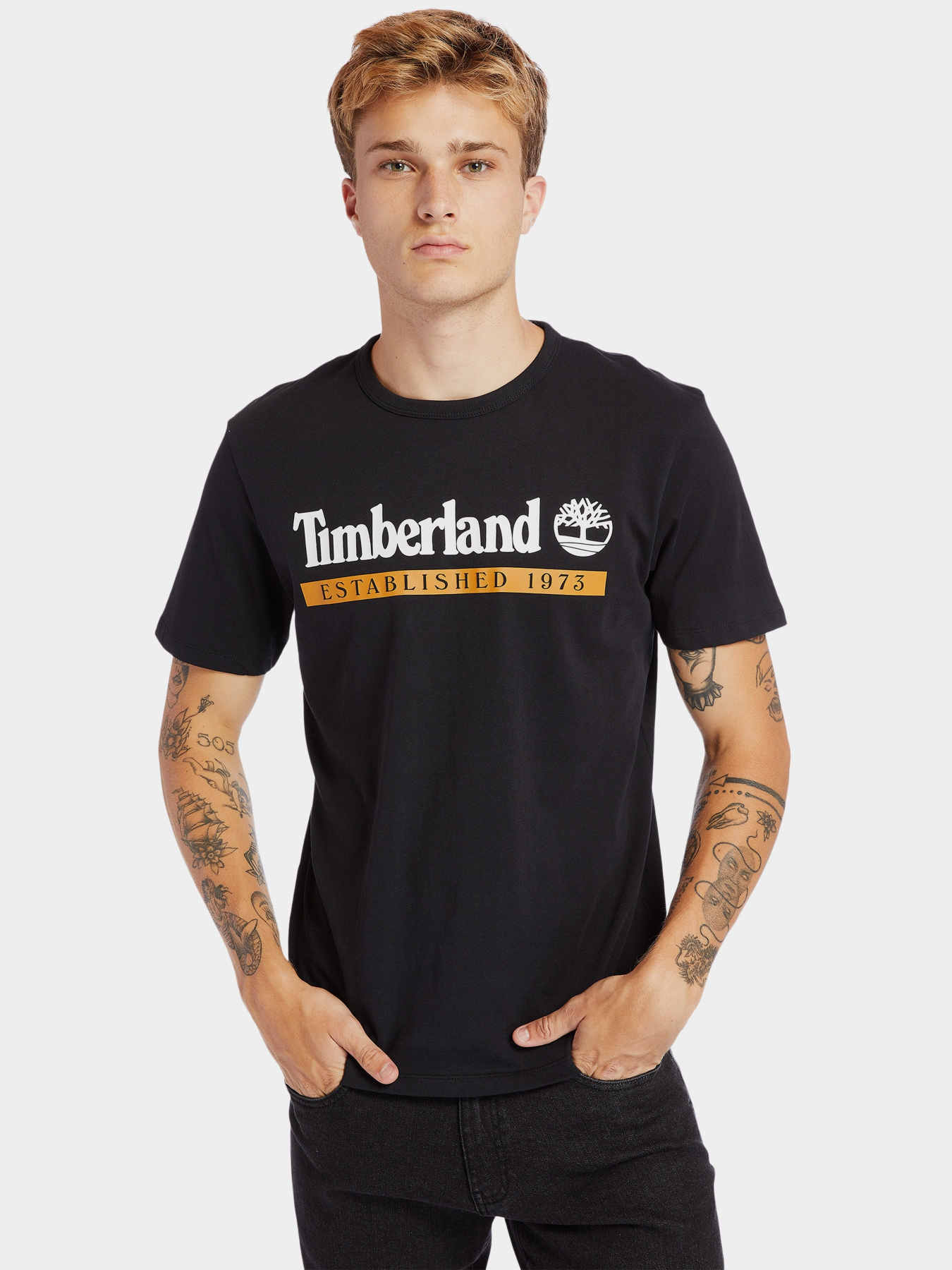 Футболки і поло Timberland Established 1973 модель TB0A2BV6P56 Фото