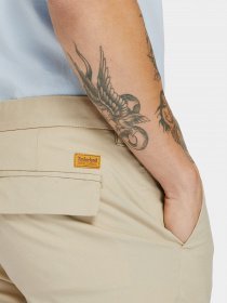 Шорты Timberland Squam Lake модель TB0A2DFD269 Фото