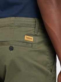 Шорты Timberland Squam Lake модель TB0A25E4A58 Фото