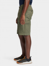 Повсякденні шорти Timberland Squam Lake модель TB0A25E4A58 Фото