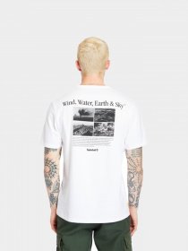 Футболки і поло Timberland Archive-Print модель TB0A2FFB100 Фото