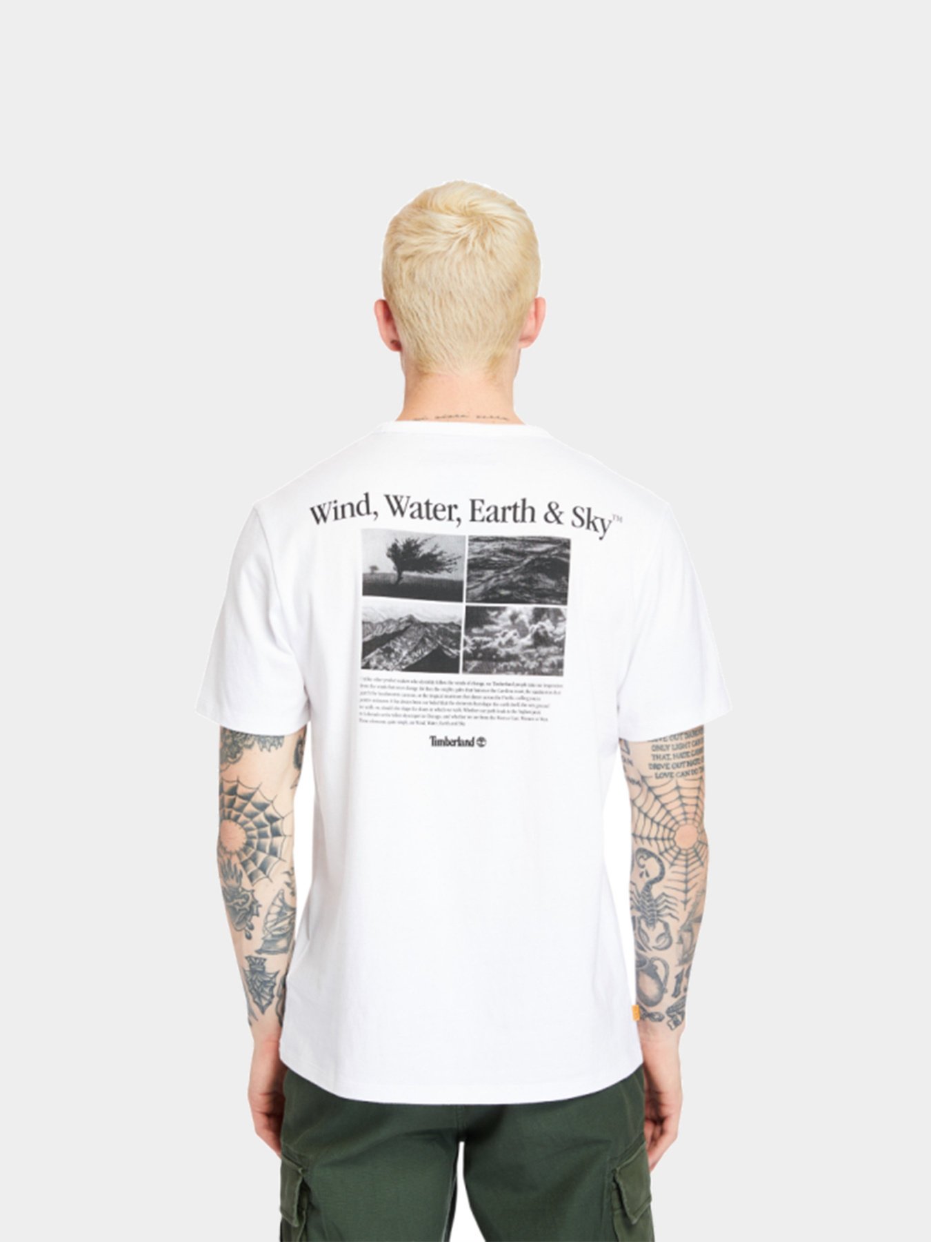 Футболки и поло Timberland Archive-Print модель TB0A2FFB100 Фото