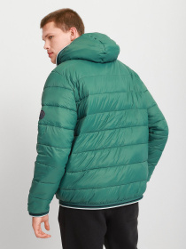 Демісезонна куртка Timberland Garfield Hooded Puffer модель TB0A2GA1J74 Фото