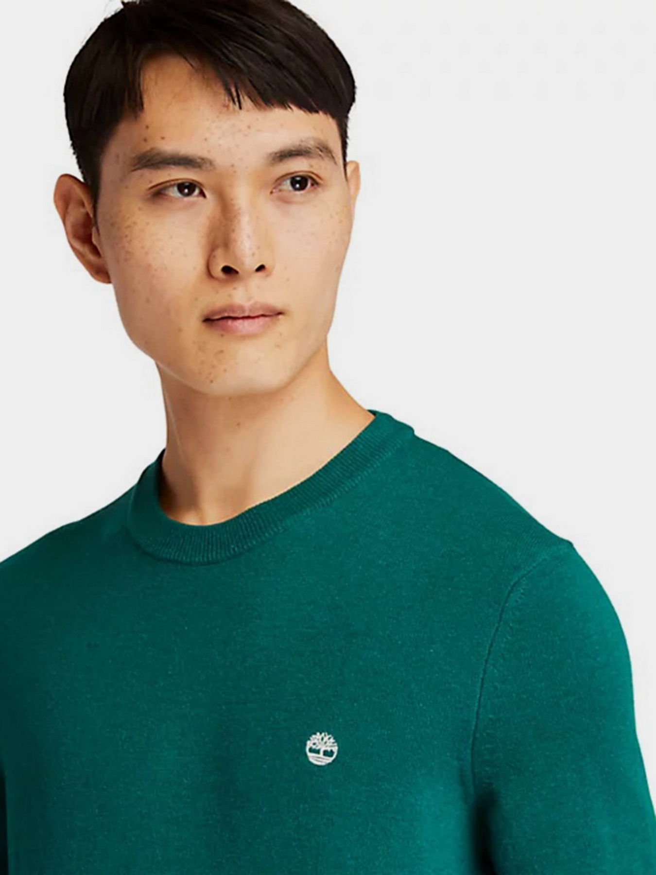 Джемпер Timberland COHAS BROOK модель TB0A2BFHJ74 Фото