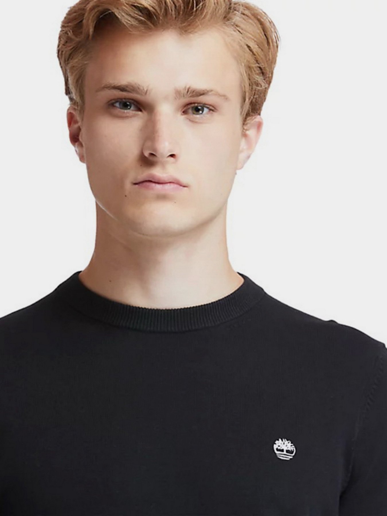 Джемпер Timberland WILLIAMS RIVER модель TB0A2BMM001 Фото