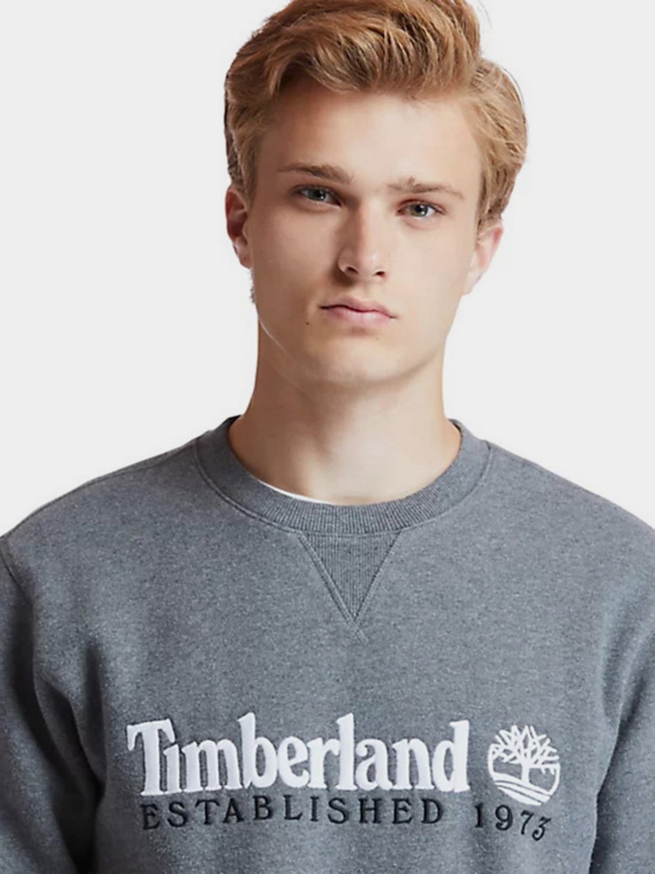 Свитшот Timberland HERITAGE EST. 1973 модель TB0A2CQZU14 Фото