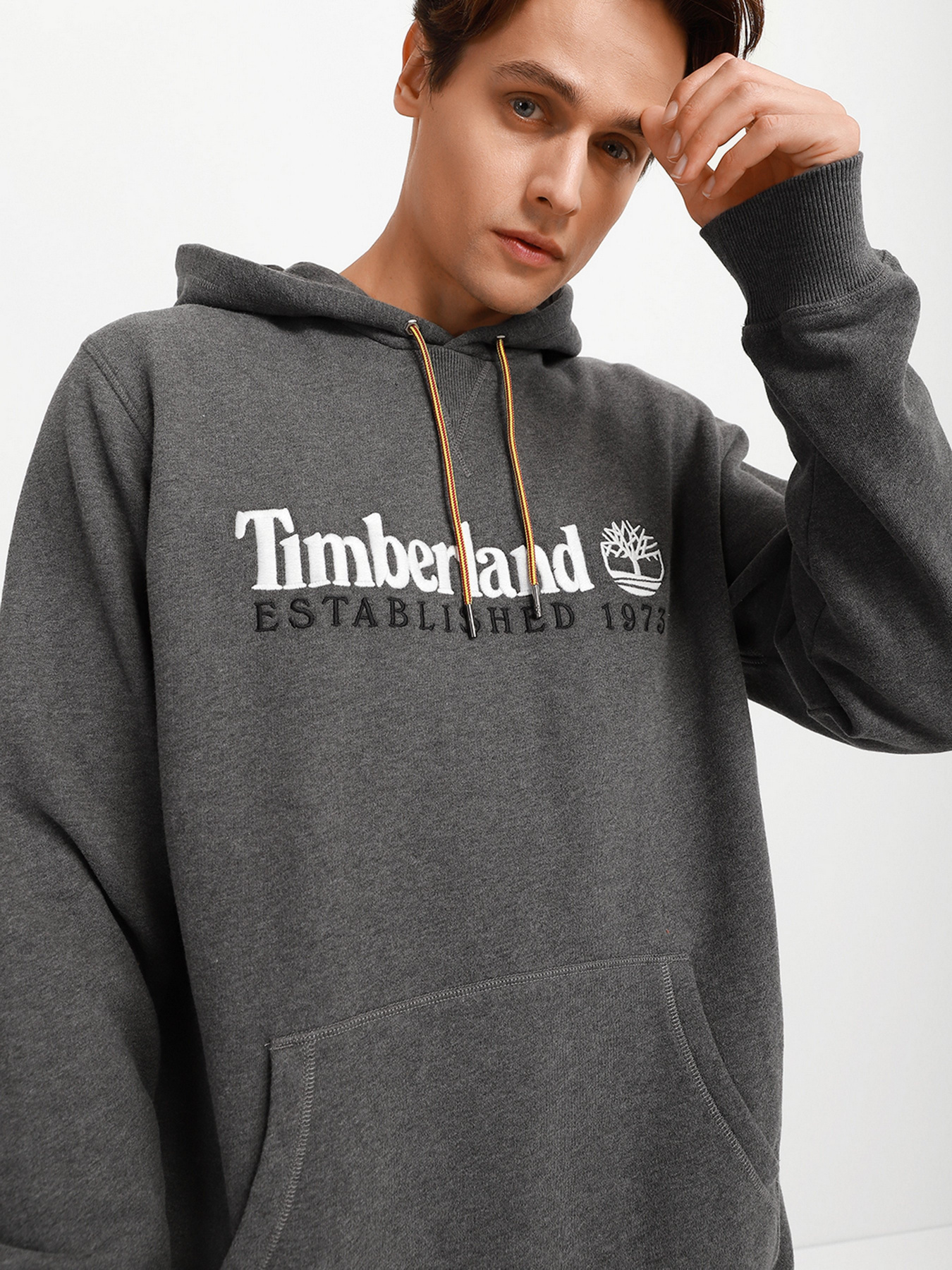 Худи Timberland Heritage модель TB0A2CRMU14 Фото
