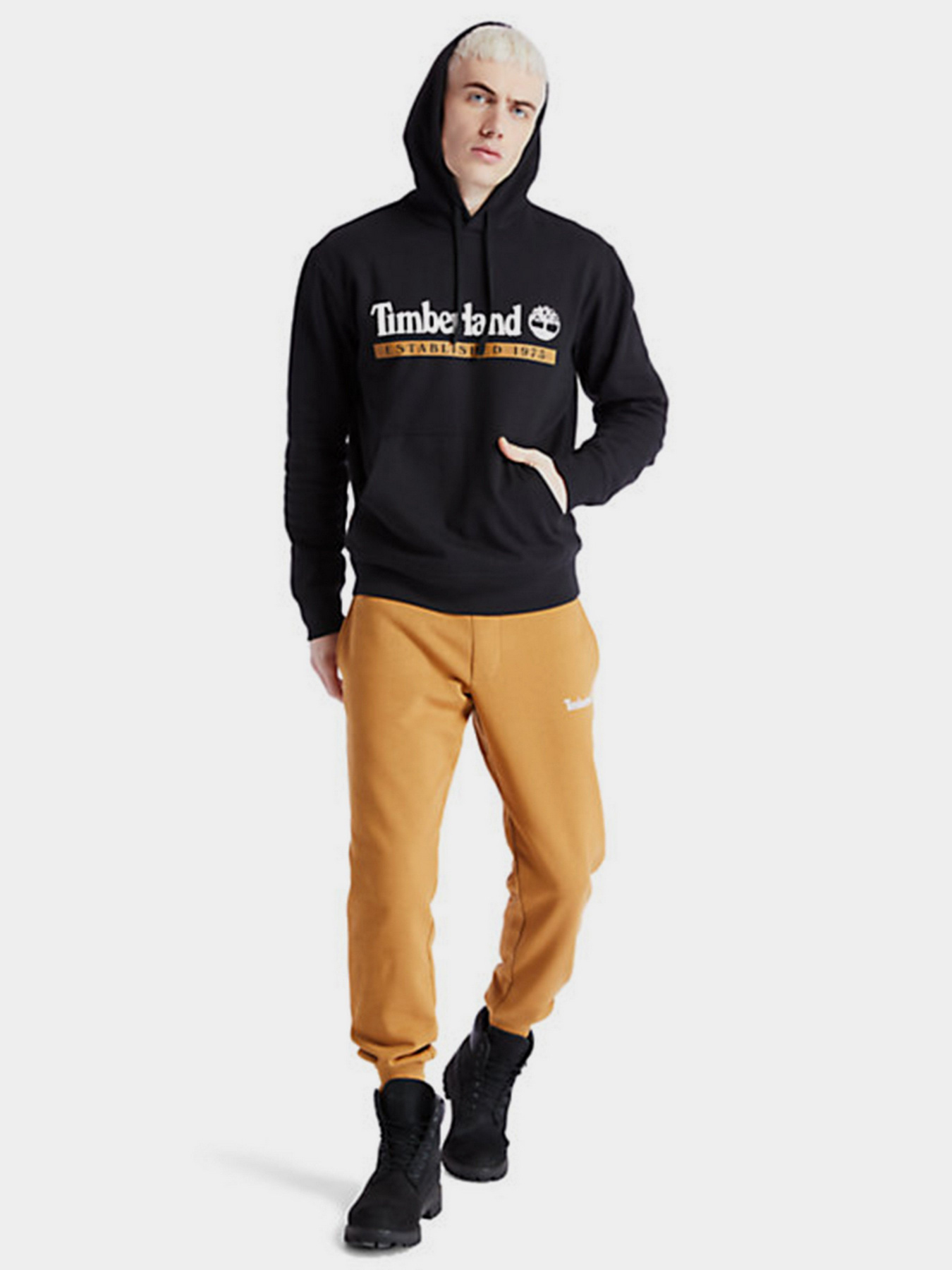 Худи Timberland Established 1973 модель TB0A2AMSP56 Фото