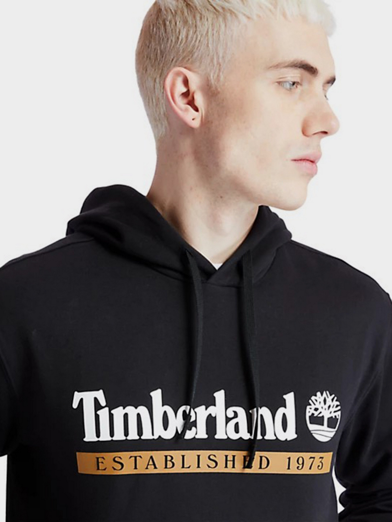 Худи Timberland Established 1973 модель TB0A2AMSP56 Фото