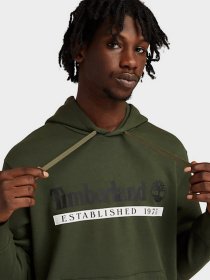 Худи Timberland Established 1973 модель TB0A2AMSCC3 Фото