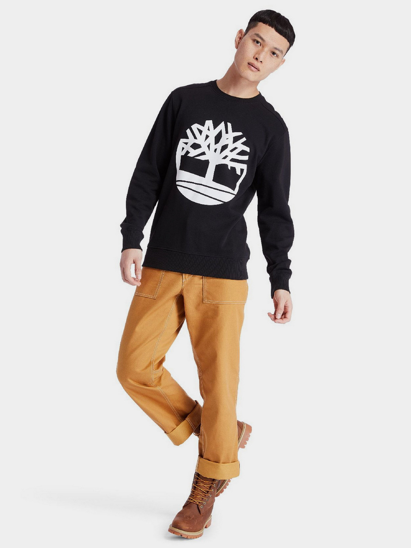 Свитшот Timberland Core Logo модель TB0A2BJ8N92 Фото