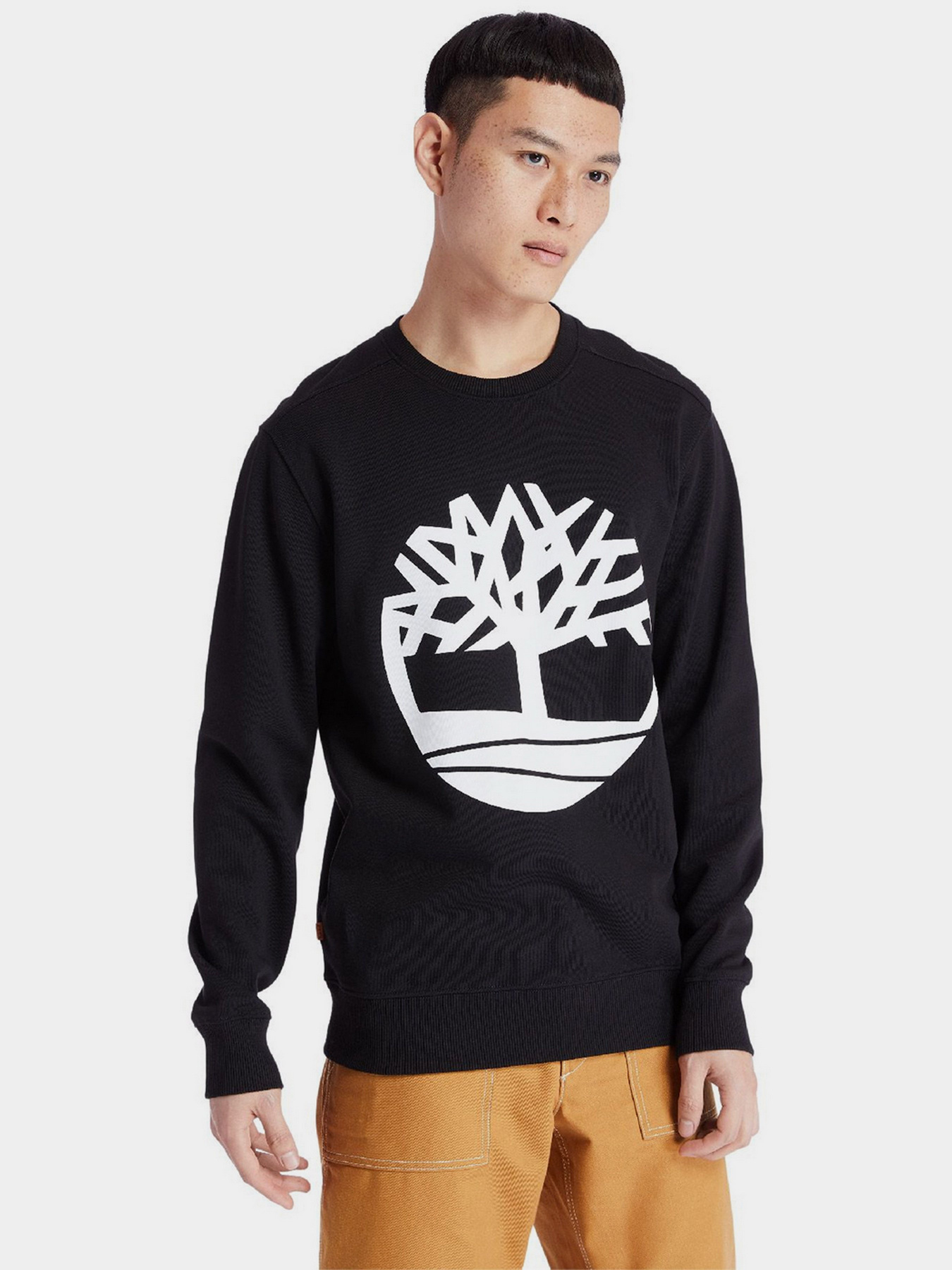 Свитшот Timberland Core Logo модель TB0A2BJ8N92 Фото