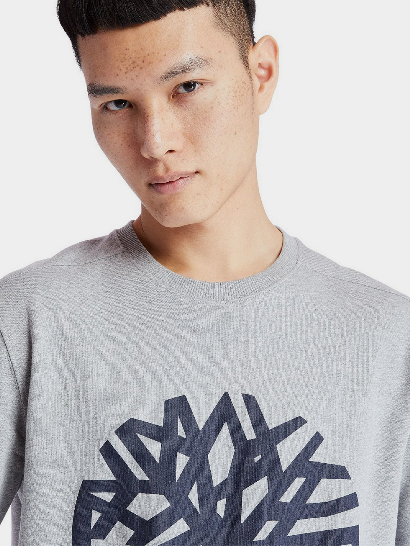 Свитшот Timberland Core Logo модель TB0A2BJ8AR2 Фото