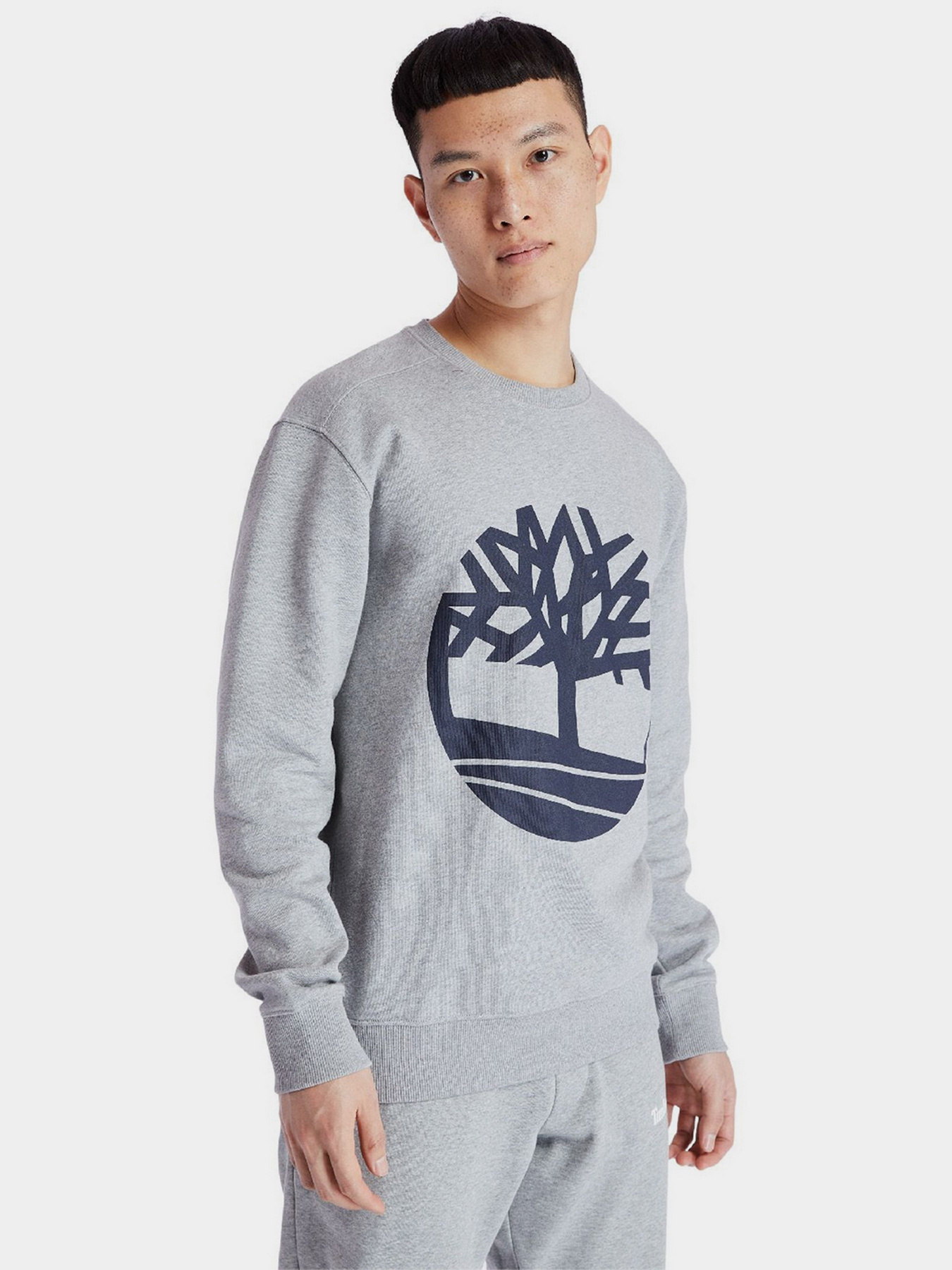 Свитшот Timberland Core Logo модель TB0A2BJ8AR2 Фото