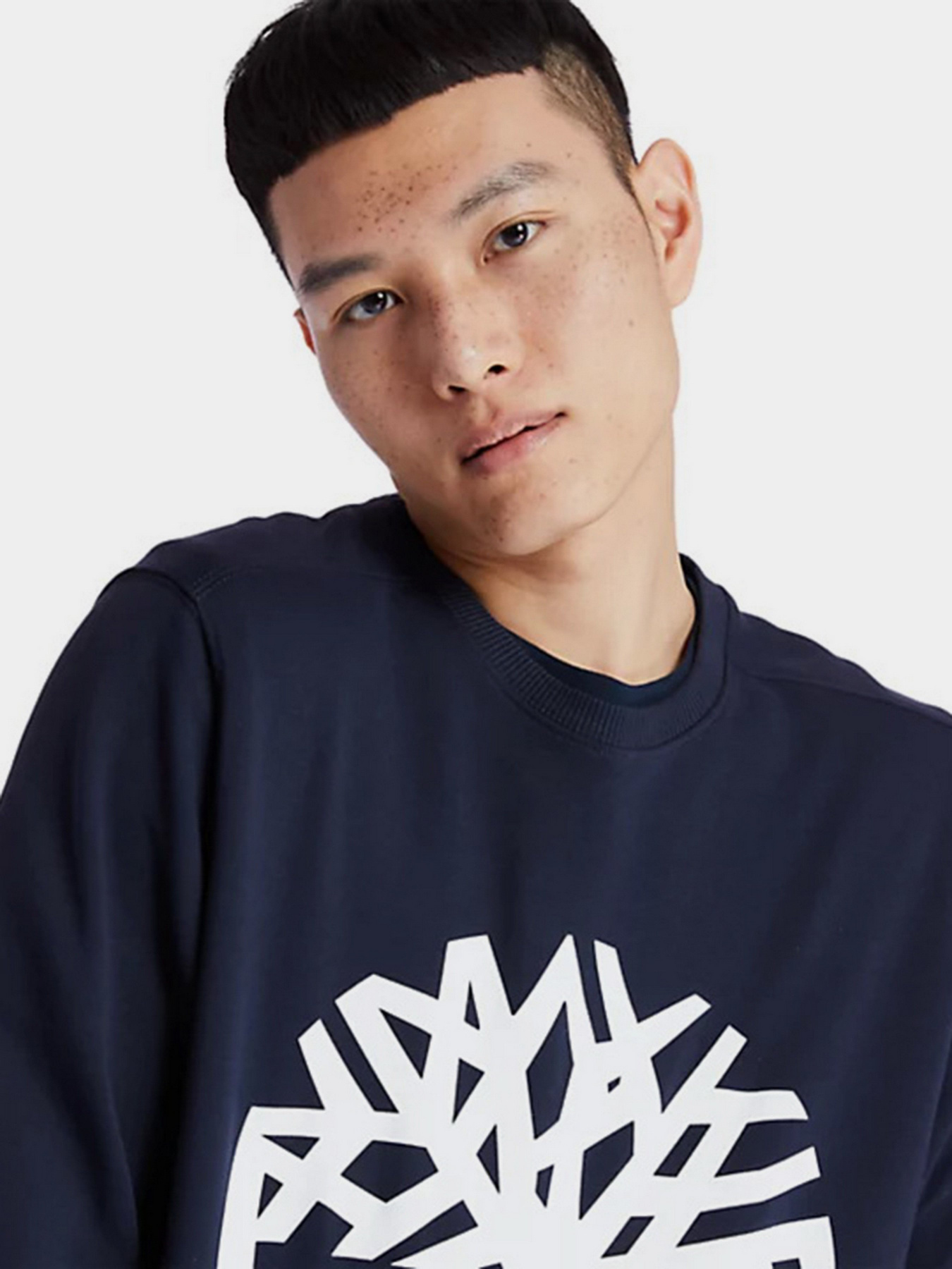 Свитшот Timberland Core Logo модель TB0A2BJ8U10 Фото