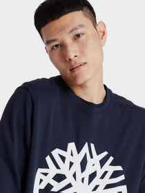 Свитшот Timberland Core Logo модель TB0A2BJ8U10 Фото