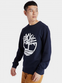 Свитшот Timberland Core Logo модель TB0A2BJ8U10 Фото