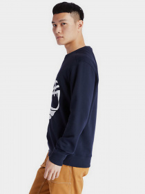 Свитшот Timberland Core Logo модель TB0A2BJ8U10 Фото