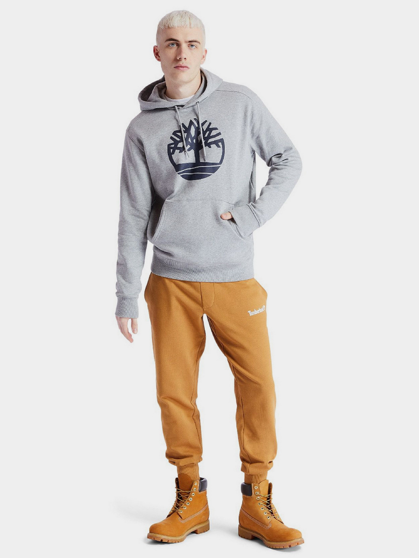 Худи Timberland TREE LOGO модель TB0A2BJHAR2 Фото