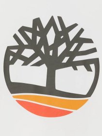 Футболки и поло Timberland Earthkeepers® By Raeburn модель TB0A25P4100 Фото