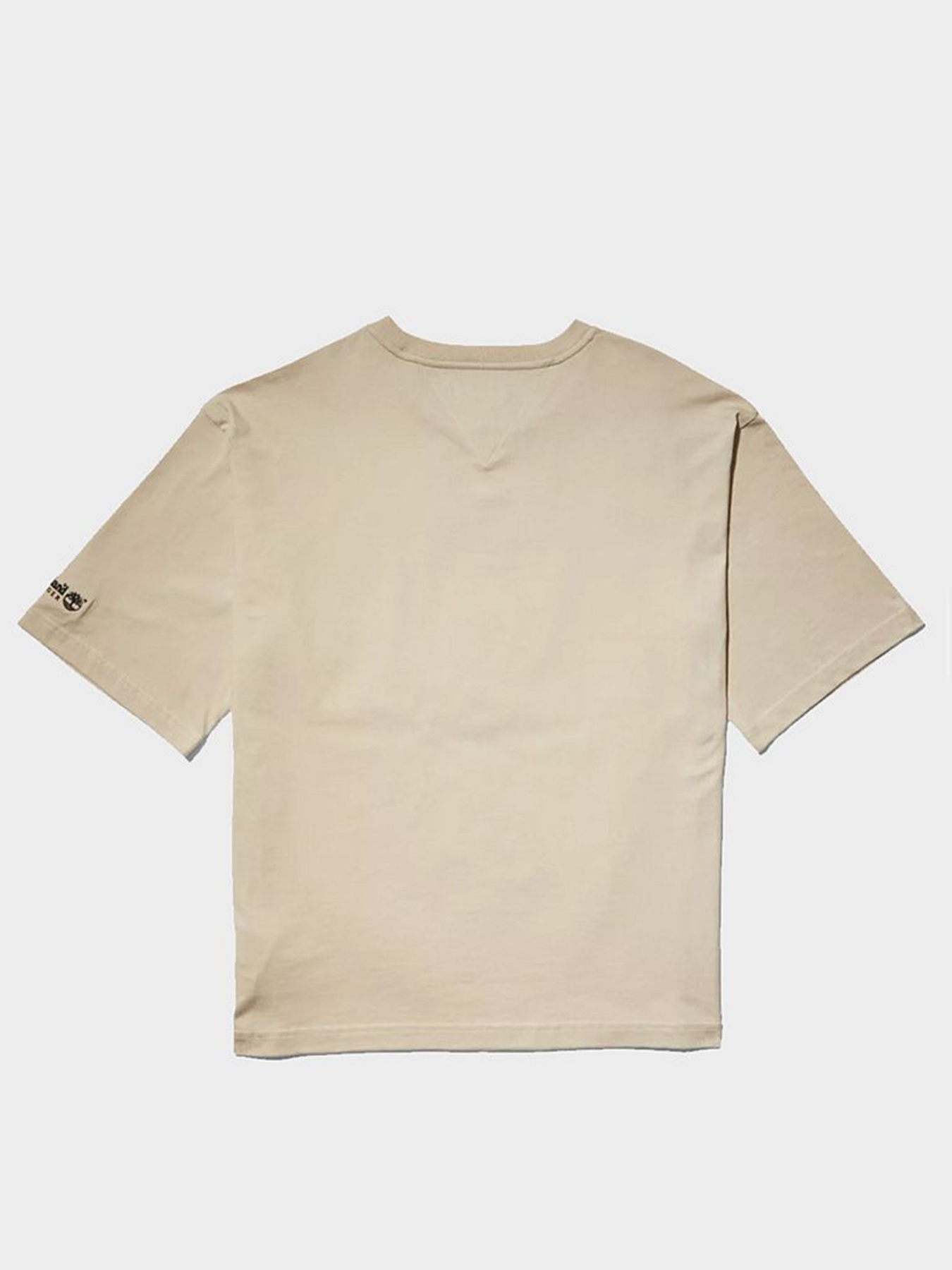 Футболки и поло Timberland x Tommy модель TB0A5P2MCT3 Фото