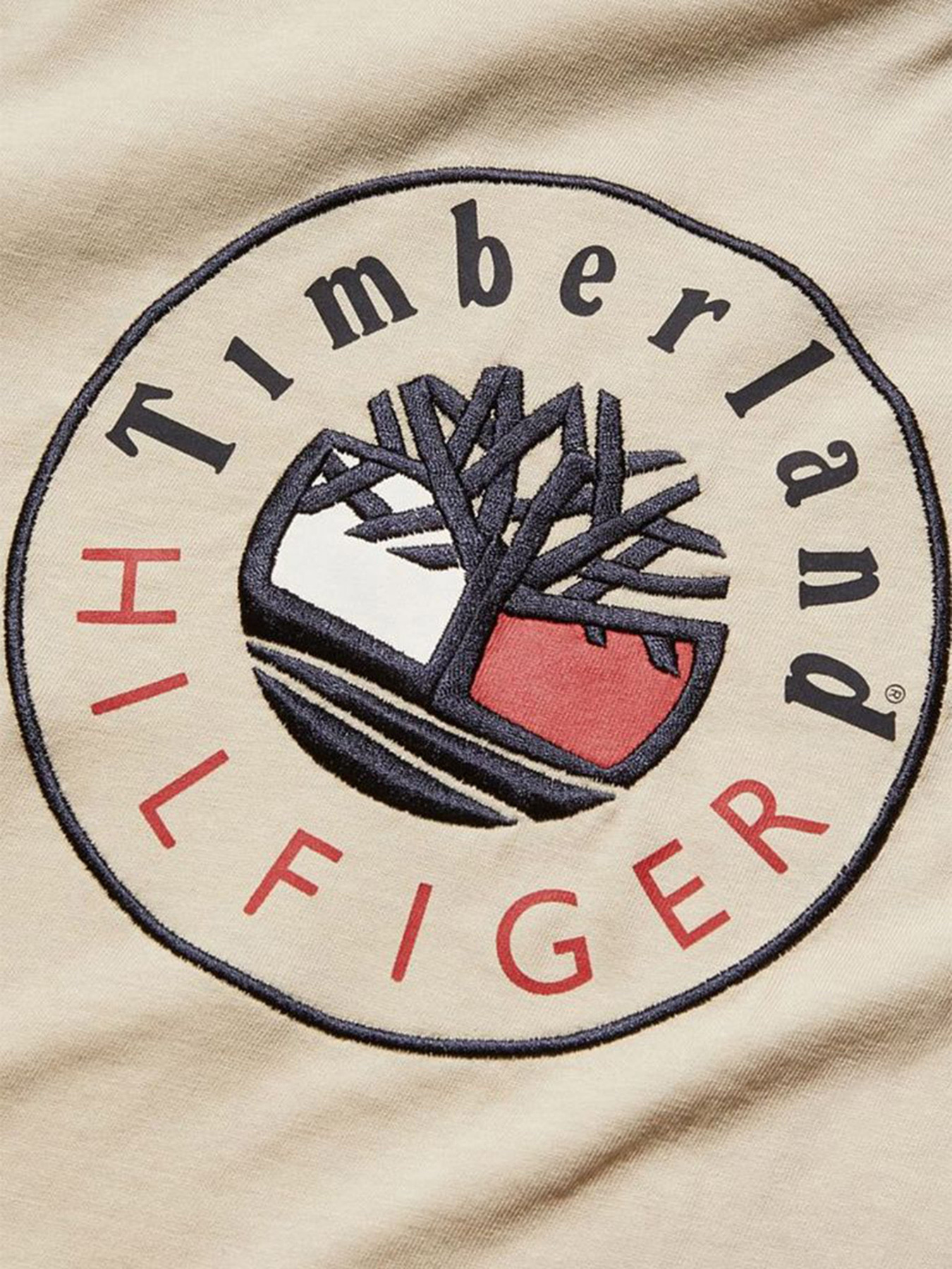 Футболки и поло Timberland x Tommy модель TB0A5P2MCT3 Фото