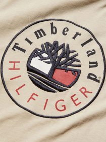 Футболки и поло Timberland x Tommy модель TB0A5P2MCT3 Фото