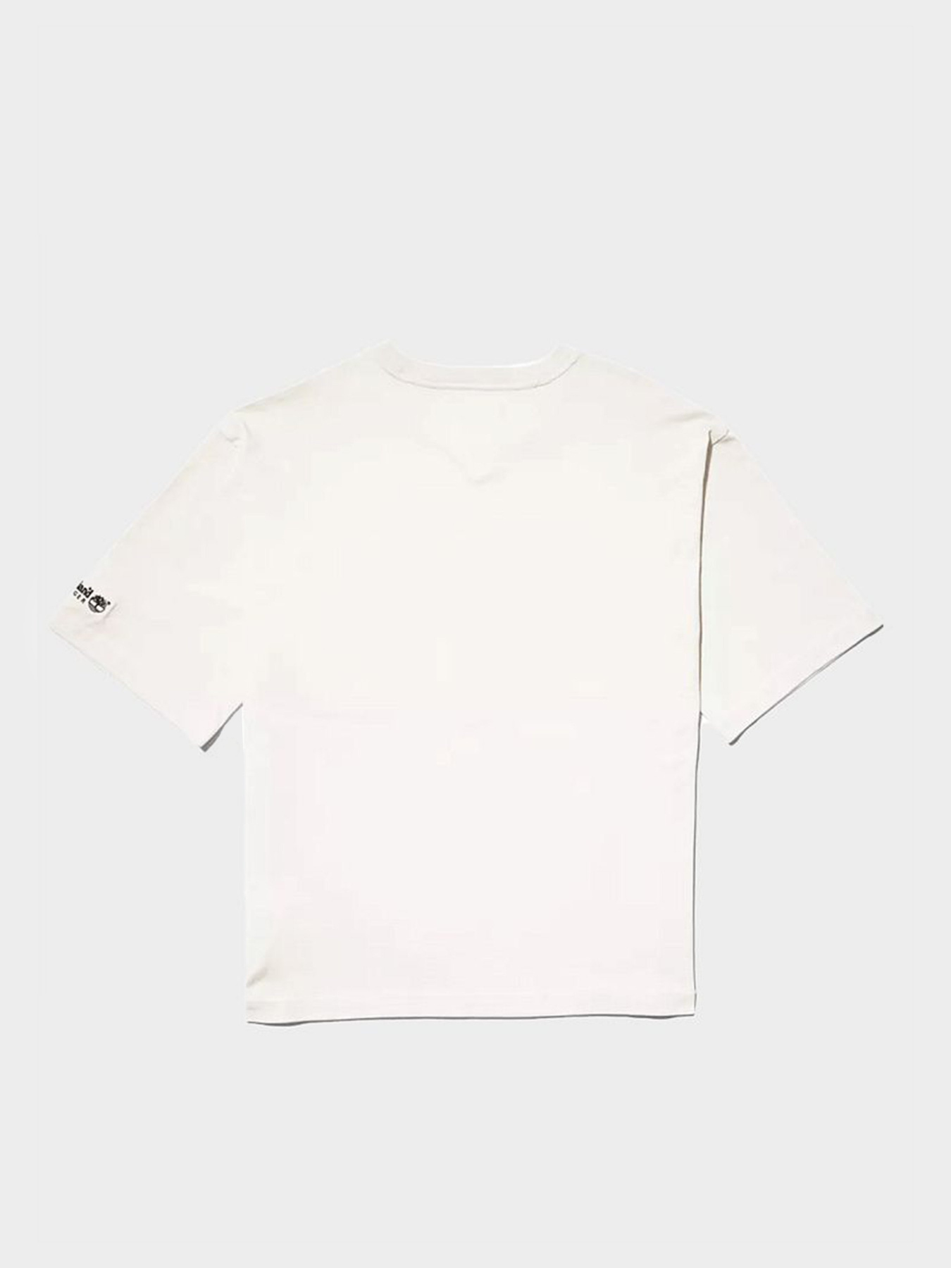 Футболки и поло Timberland x Tommy модель TB0A5P2MCT1 Фото