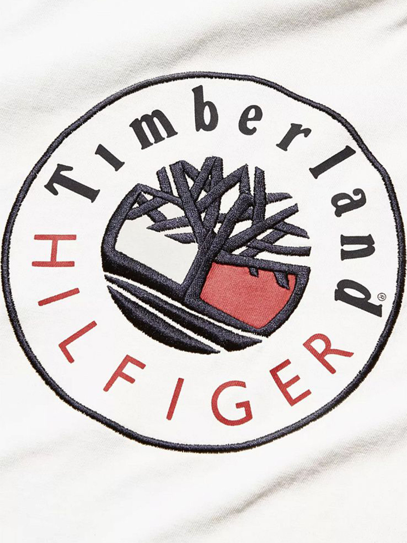 Футболки и поло Timberland x Tommy модель TB0A5P2MCT1 Фото