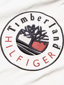Футболки и поло Timberland x Tommy модель TB0A5P2MCT1 Фото