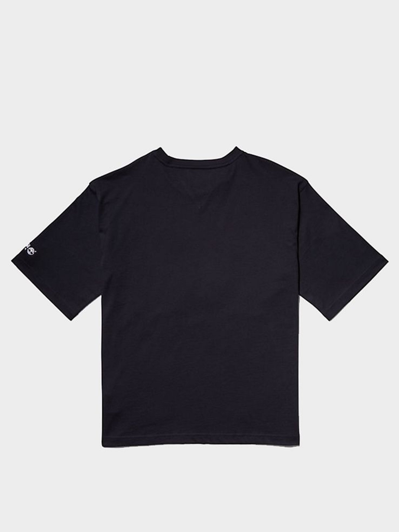 Футболки и поло Timberland x Tommy модель TB0A5P2MCT0 Фото