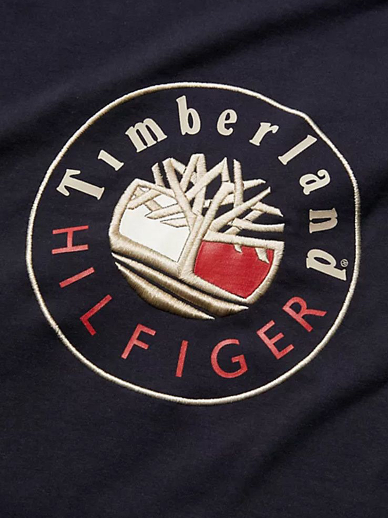 Футболки и поло Timberland x Tommy модель TB0A5P2MCT0 Фото